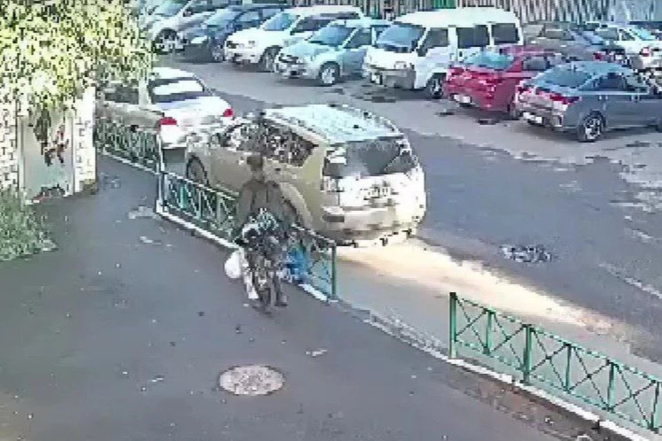 Кот лежал в синем пакете на газоне. Фото: Скриншот видео приюта «Бусинка»