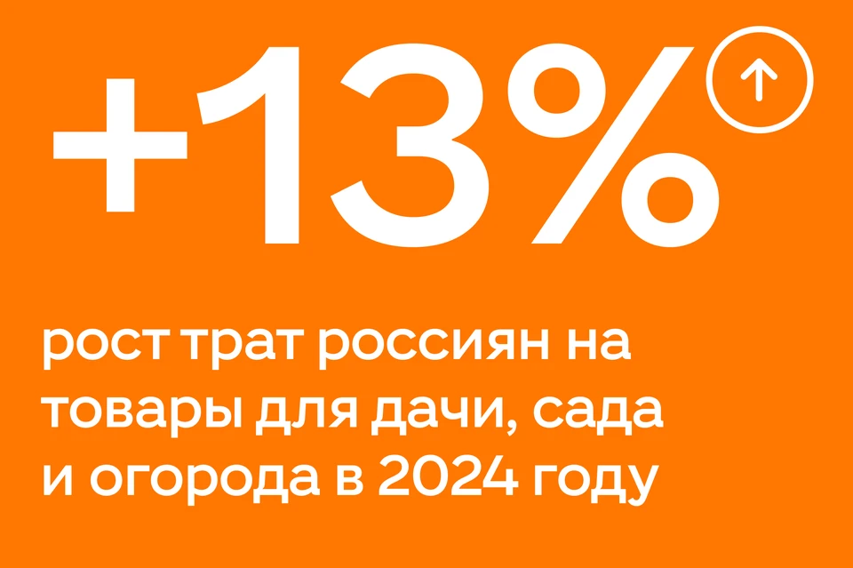 Россияне готовы тратить больше на свои сады и огороды