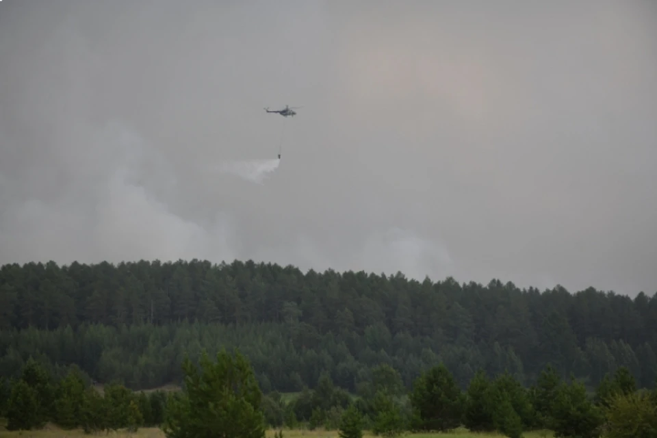 Два пожара возникло из-за гроз в лесах Иркутской области на выходных.