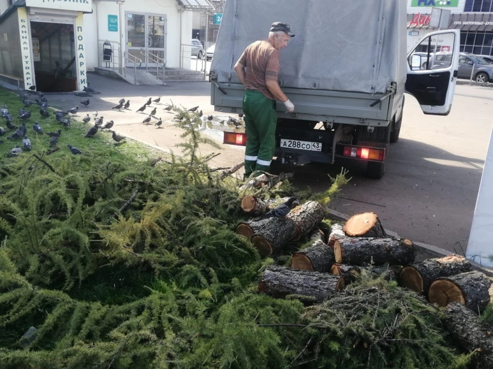 Фото: пресс-служба администрации Кирова