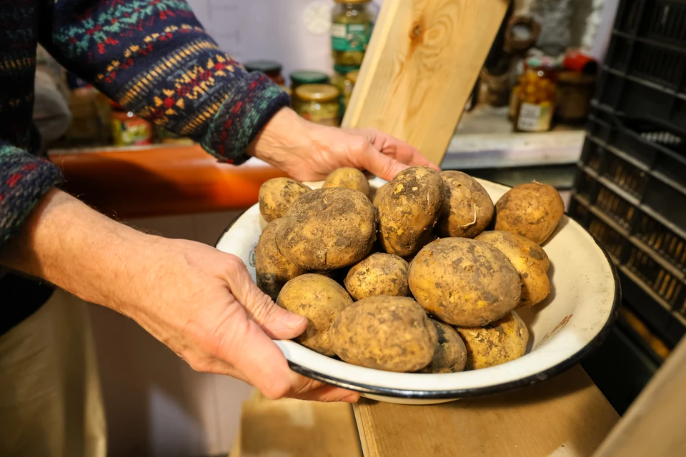 Подорожание картофеля связано с майскими заморозками и летней жарой.