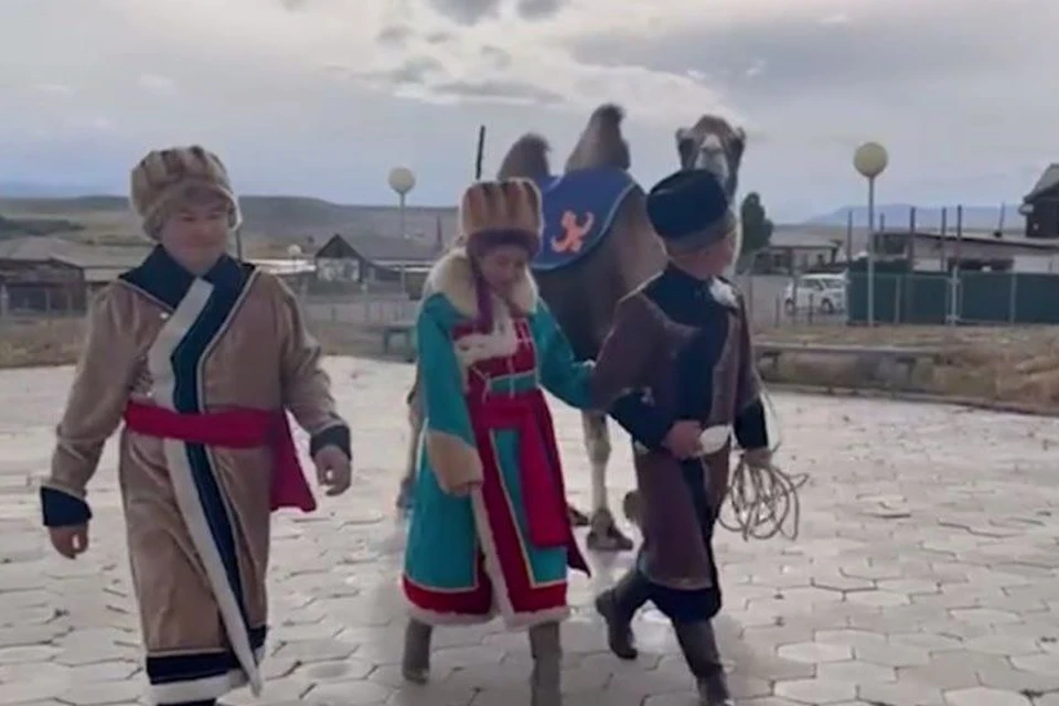 На верблюде приехали жители села Ортолык. Автор фото: скриншот видео правительства Республики Алтай