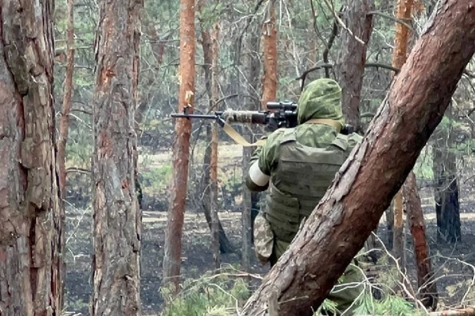 ВС РФ продвинулись не менее чем на километр от поселка Новгородского в ДНР (архивное фото)