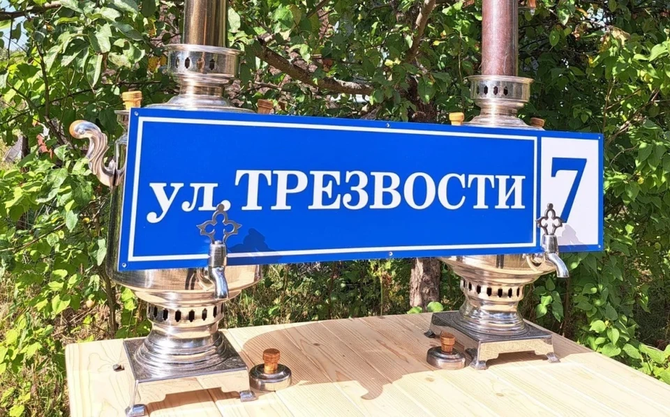 Улицу так назвали по инициативе местного жителя Артёма Воронина