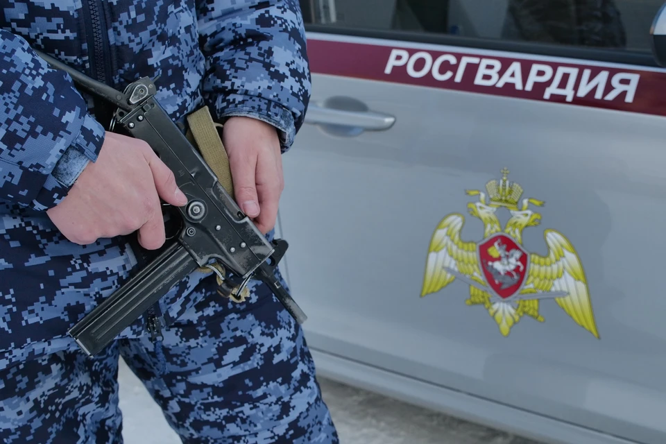 Росгвардейцы передали парня полиции Фото из архива КП