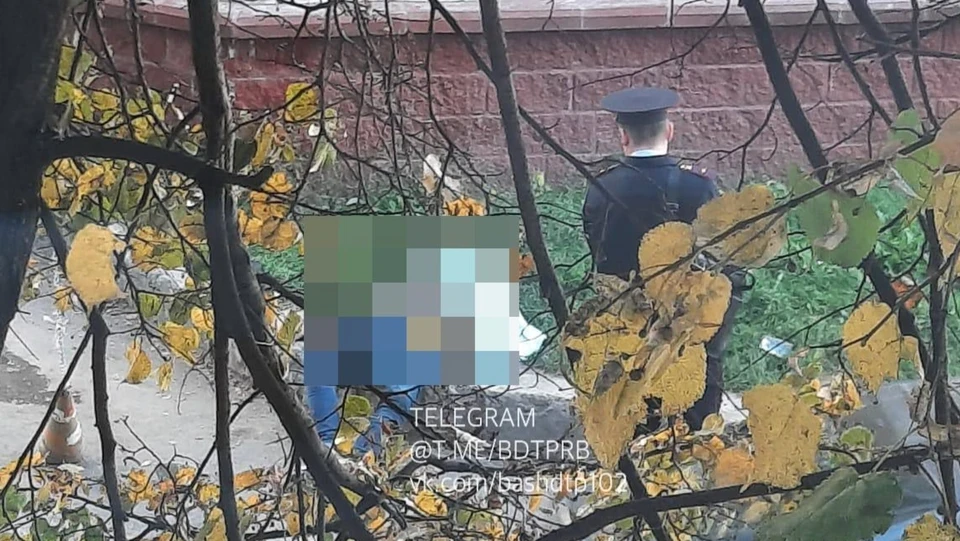 Фото: ТГ-канал БашДТП