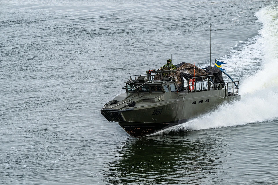 На несколько дней Швеция превратилась в общеевропейский военный госпиталь и сортировочный пункт для пострадавших мирных жителей.