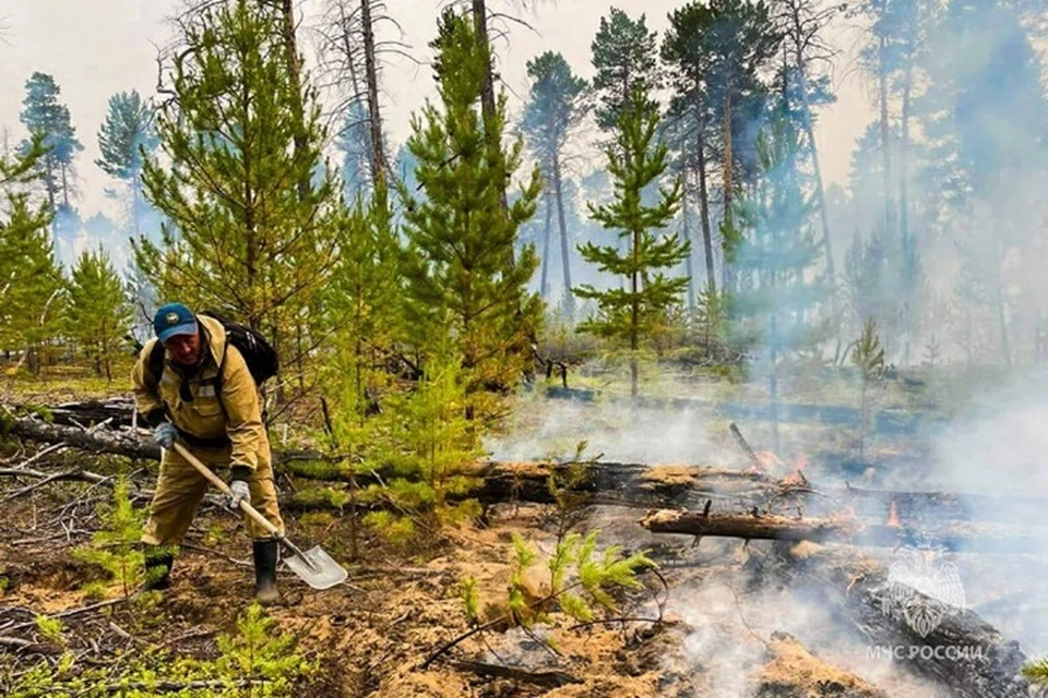 В Якутии осталось потушить один лесной пожар Фото: ГУ МЧС России по РС(Я)