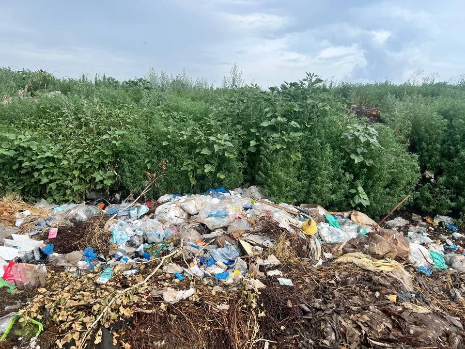 Фото: прокуратура Омской области