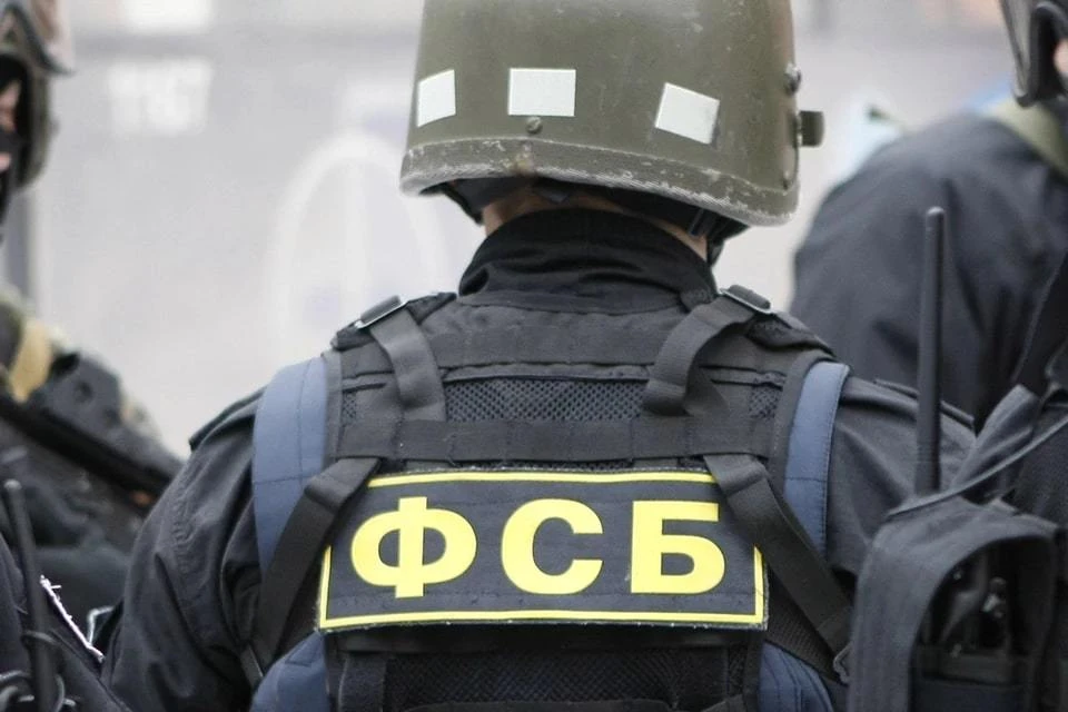 ФСБ задержала жительницу Ростова по подозрению в госизмене