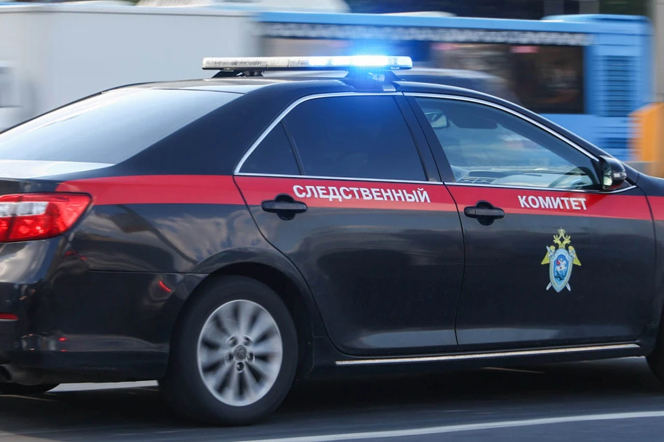 СК предъявил обвинение в растрате экс-управляющему столовыми «Военторга» Саидову