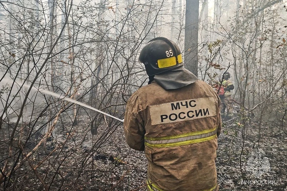 Борьба с огнем в Рачейском лесничестве продолжается третьи сутки