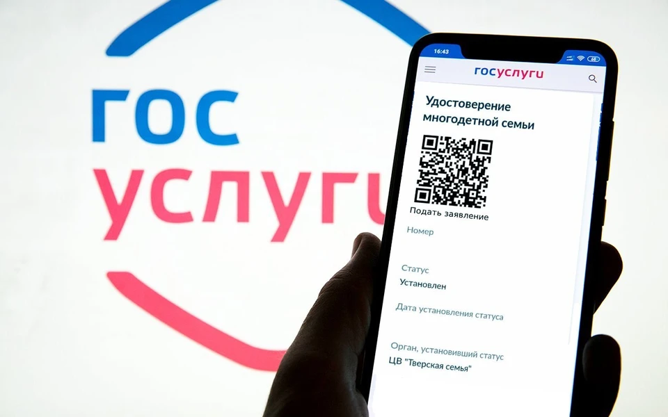 Цифровое удостоверение многодетной семьи в том числе позволит упростить получение льгот.