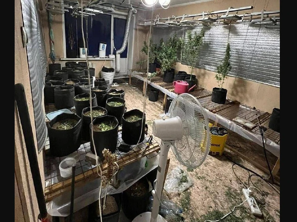 В холодильнике полиция также нашла пакеты, которые уже были подготовлены для употребления и продажи. Фото: полиция Кузбасса