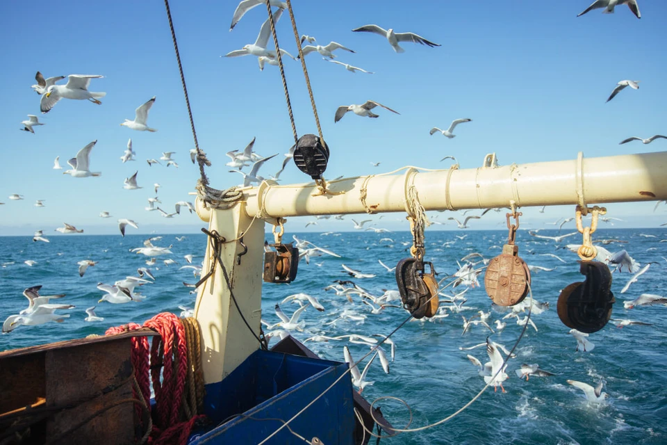 Рыболовство в Азовском море активно развивается. ФОТО: ВНИРО