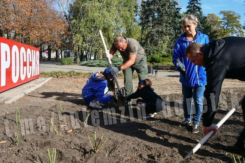 В центре Донецка высадили 350 новых кустов роз. Фото: ТГ/Кулемзин