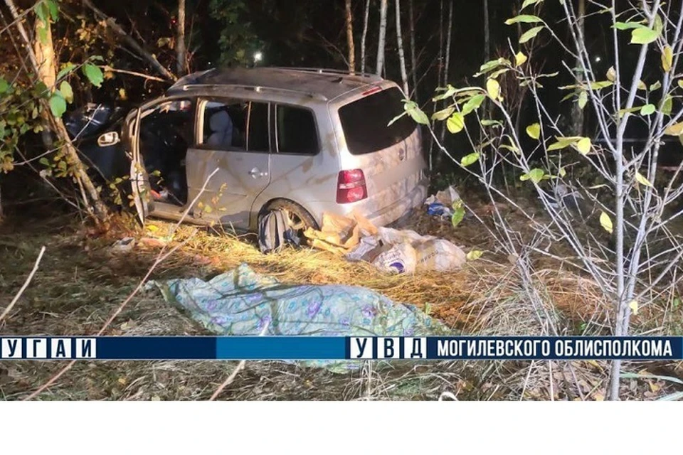 Лось стал причиной смертельного ДТП в Могилевском районе. Фото: УГАИ УВД Могоблисполкома.