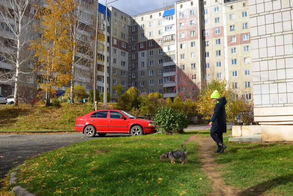 Прогноз погоды на неделю в новой беденьге