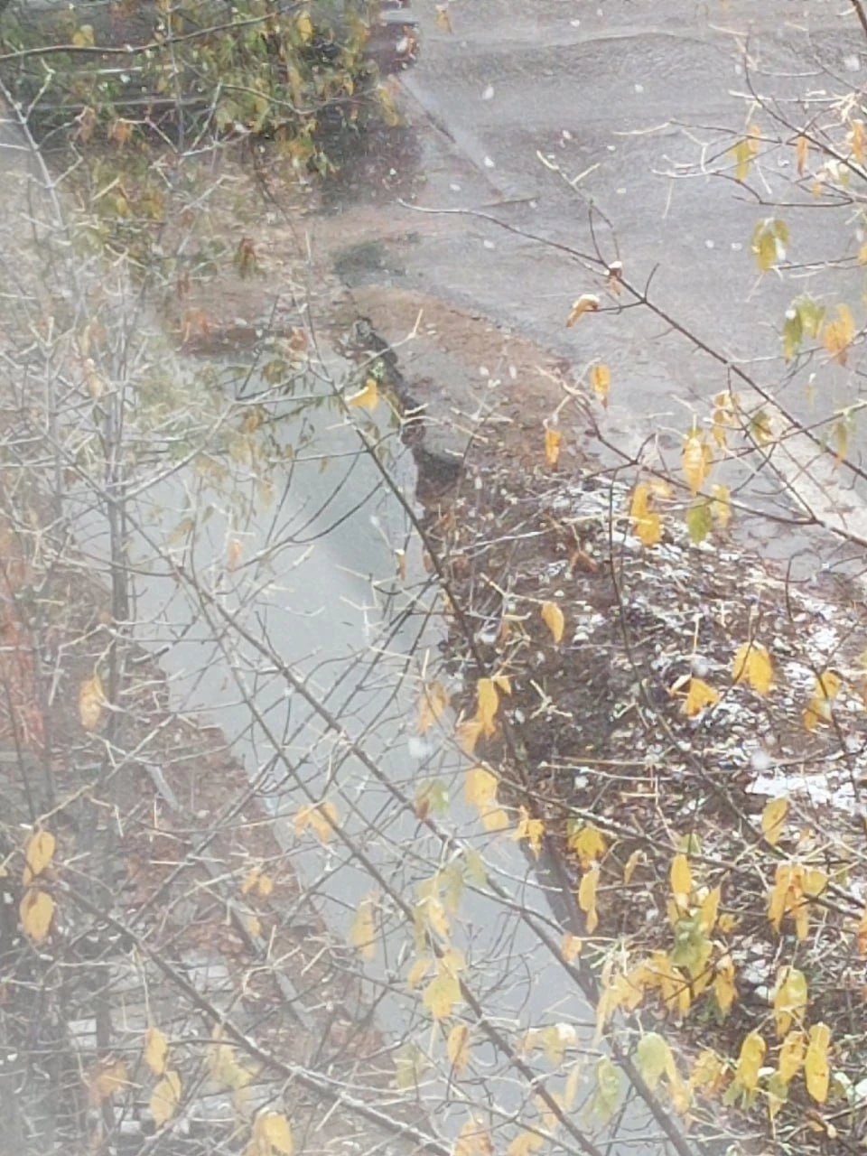 Все залито водой.