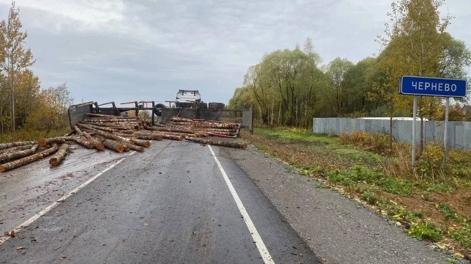 Фото Светланы Беляевой