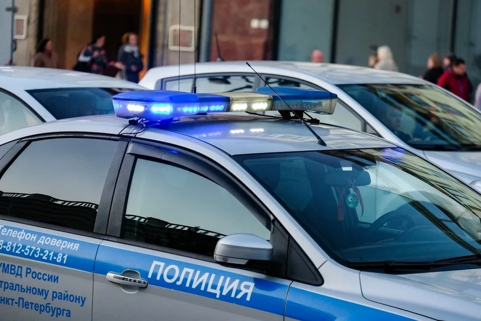 Полицейские сорвали планы стритрейсеров на Крестовском острове.