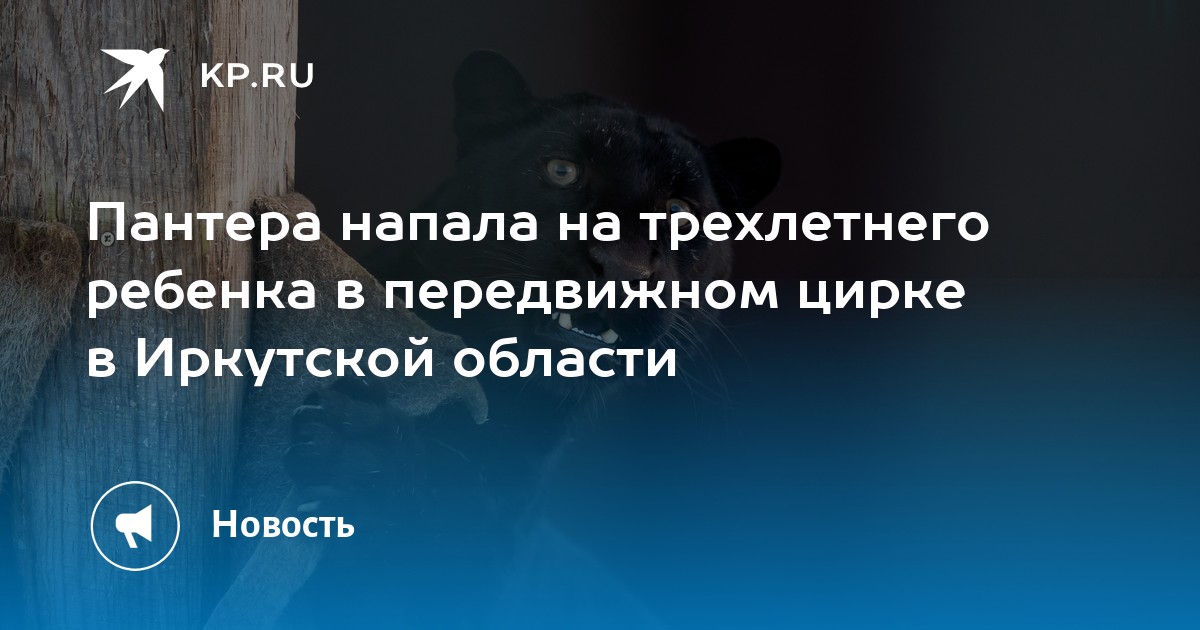 Цирковая пантера напала на ребенка. Цирковая пантера напала на ребенка. Цирковая пантера напала на ребенка. Цирковая пантера напала на ребенка. Цирковая пантера напала на ребенка.