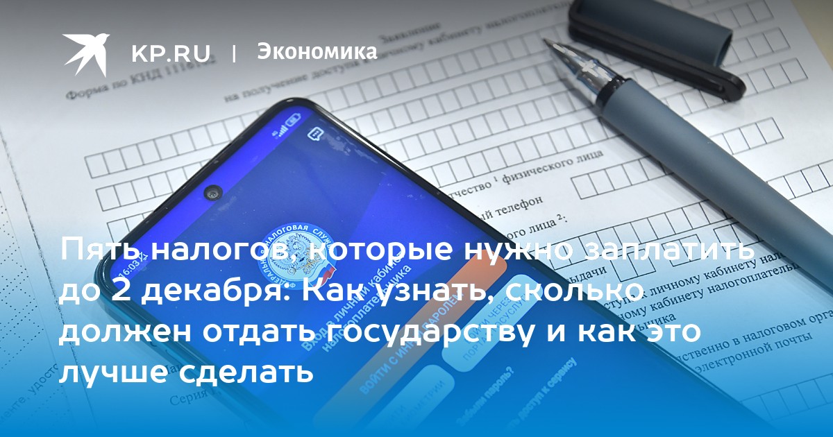 Пять налогов, которые нужно заплатить до 2 декабря: Как узнать, сколько должен отдать государству и как это лучше сделать