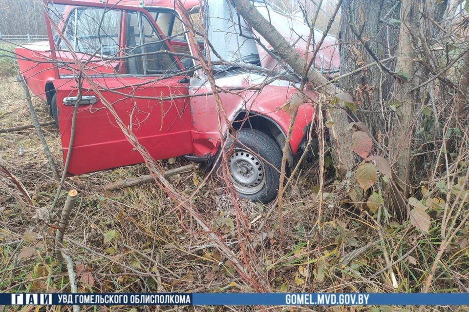 Пожилой водитель погиб, врезавшись в дерево в Гомельском районе. Фото: телеграм-канал УВД Гомельского облисполкома