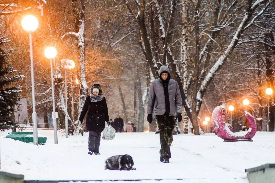 Снежная буря накрыла Самару в праздник Дня народного единства