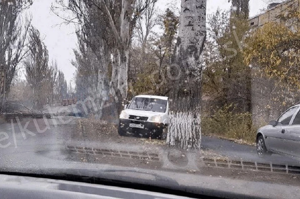 По улице Буденного из-за сильнейшего ветра одно из деревьев упало на проезжую часть. Фото: ТГ/Кулемзин