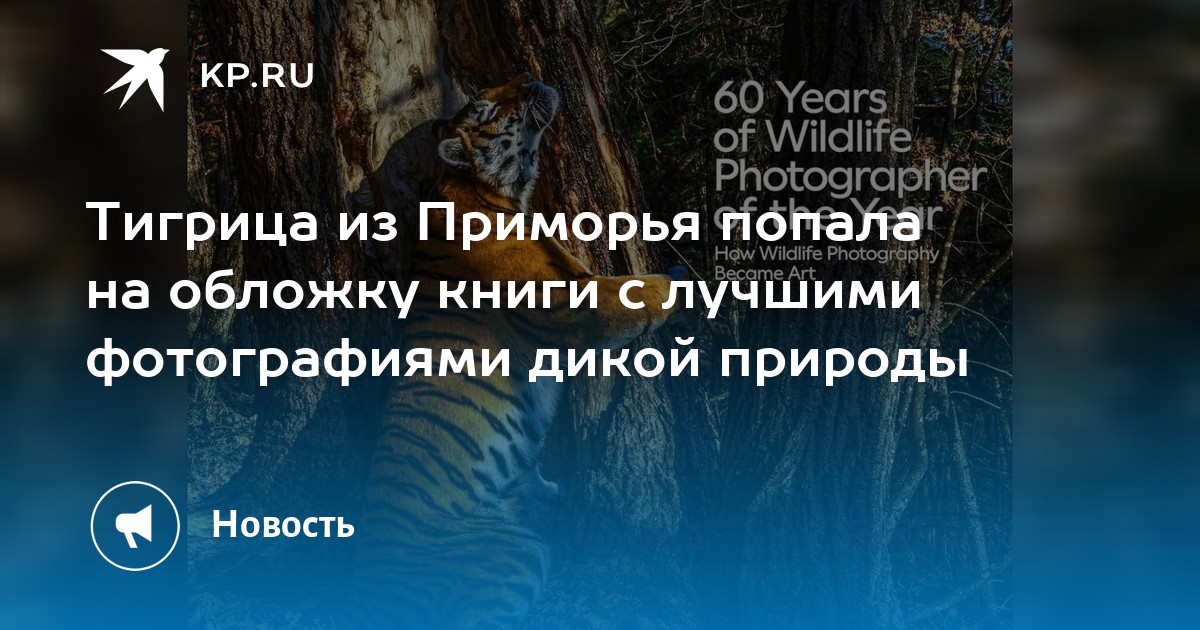 Издание книги фото Исторический час "Женщины в истории России" 2024, Владимир - дата и место провед