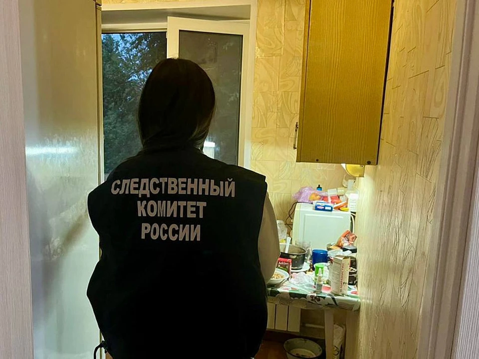 Фото: СУ СКР