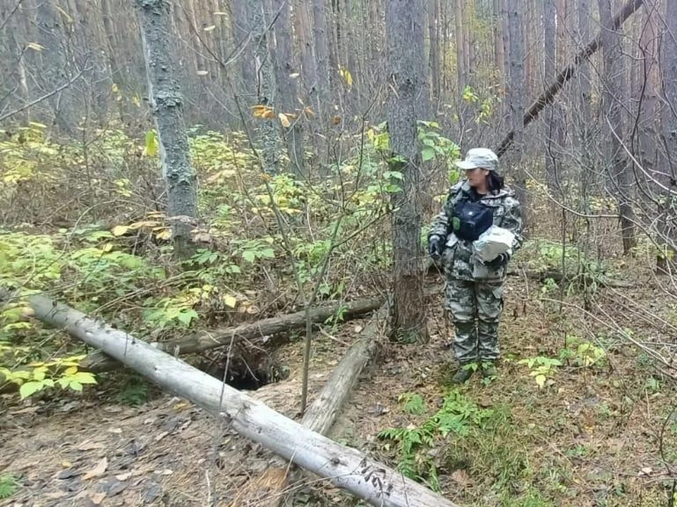 Фото из официальной группы Госохотинспекции Владимирской области в ВК.