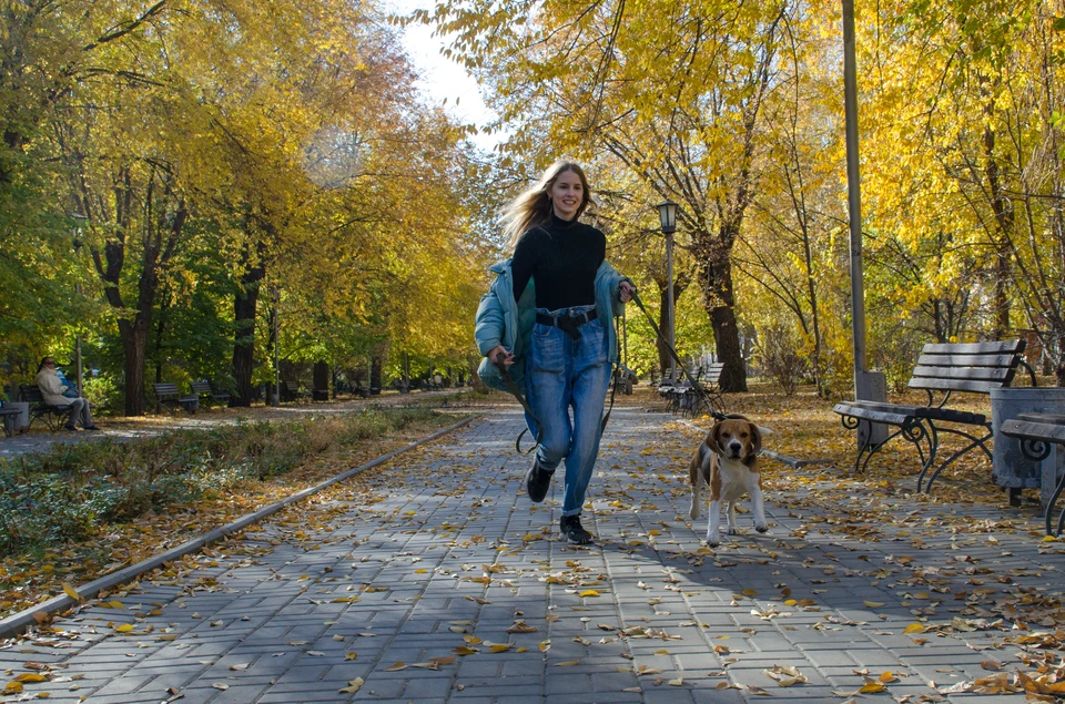 Днем пока еще будет относительно тепло.