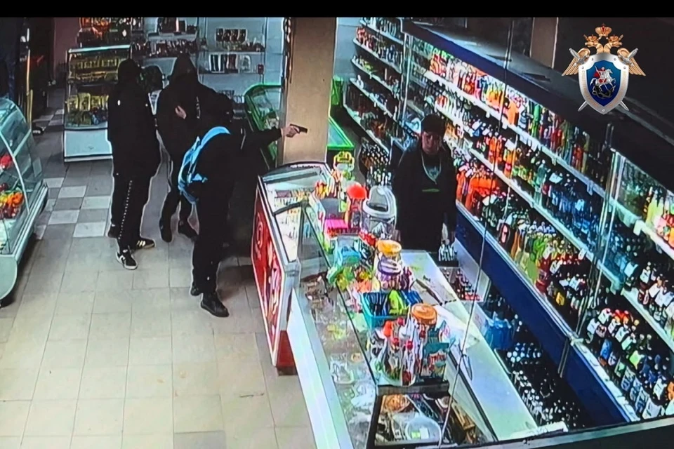 Под Новосибирском пятеро подростков с игрушечным пистолетом ограбили магазин. Фото: СК РФ по Новосибирской области.
