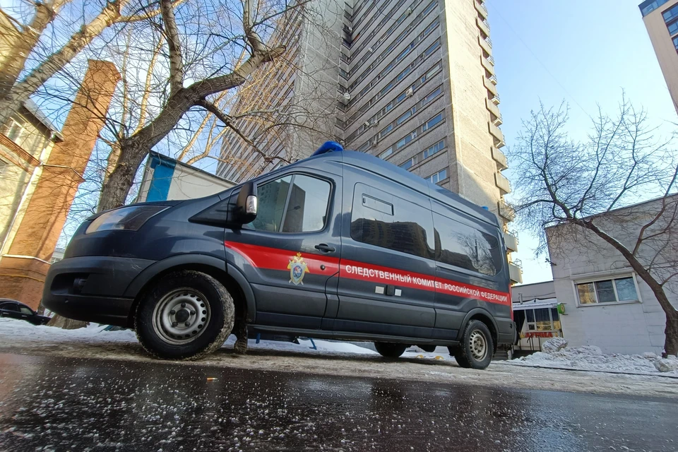 СК: Активист из Литвы оскорбил памятник Воинам Освободителям в Курской области