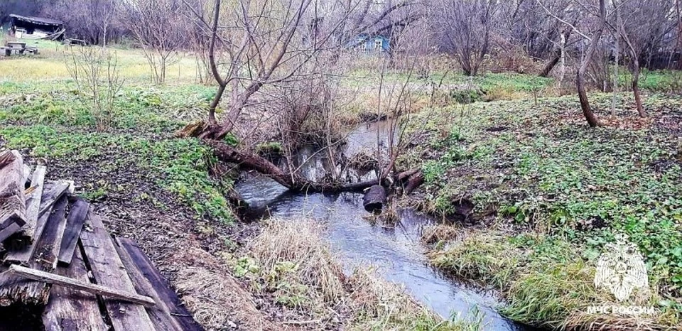 Фото: МЧС России по Смоленской области.