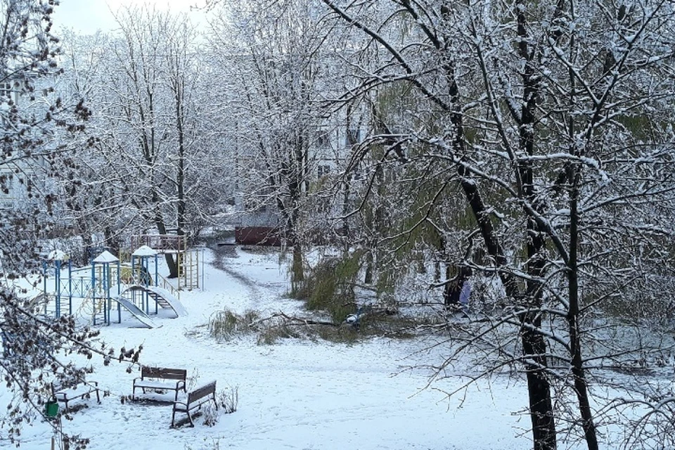 Фото: Надежда ПЕТРУНИНА.