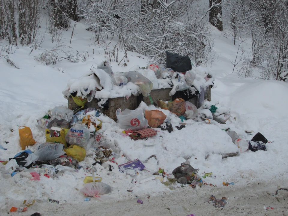Фото Елены Федяшевой