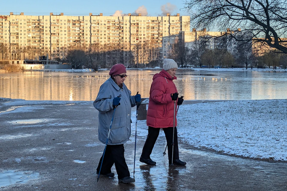 Зона с прудом в Выборгском районе - единственный зеленый уголок на весь микрорайон.