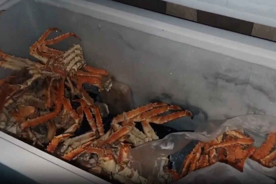 Мужчина продавал морепродукты на рынке во Владивостоке. Фото: принтскрин видео IrinaVolk_MVD.