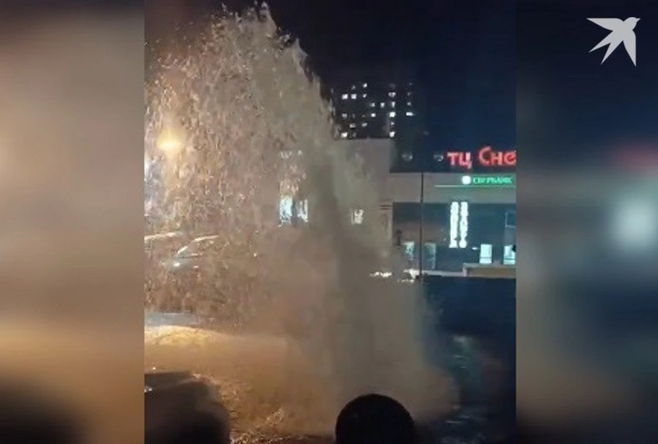 Фонтан бьет из земли на улице Анны Щетининой. Фото: принтскрин видео Эдуарда Каракулова.