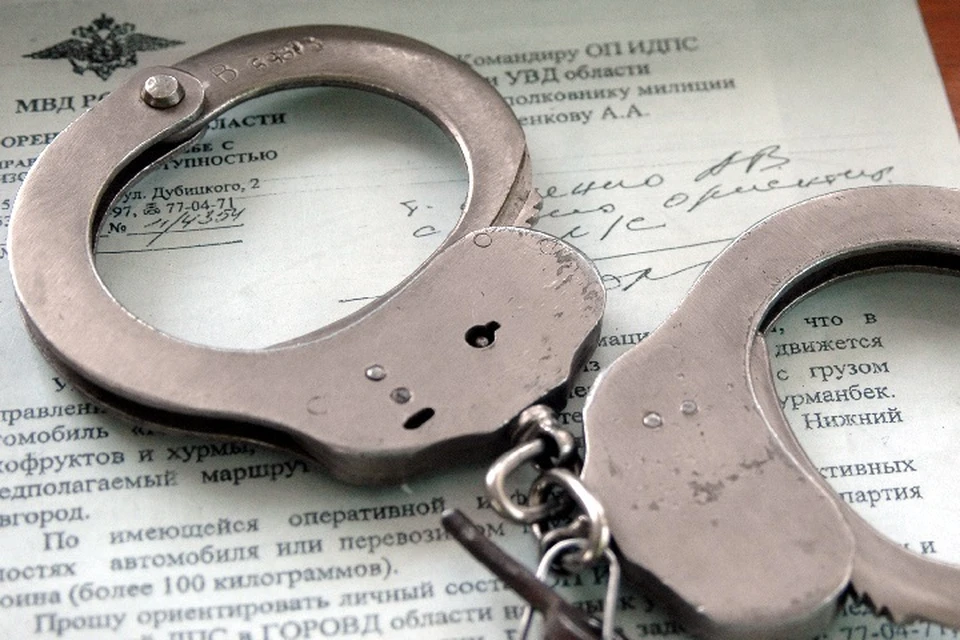 В Запорожской области полицейские задержали подозреваемого в краже