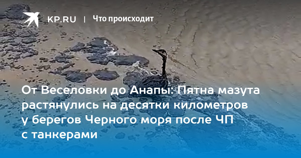 Мазут в черном море дошел до абхазии. Мазут в черном море дошел до абхазии