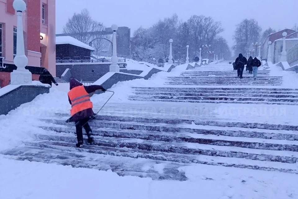 Фото: пресс-служба Брянской городской администрации.