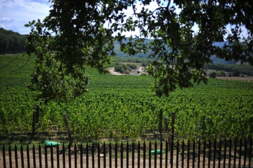 В Севастополе по решению суда изъят 400-метровый участок жителя Украины.