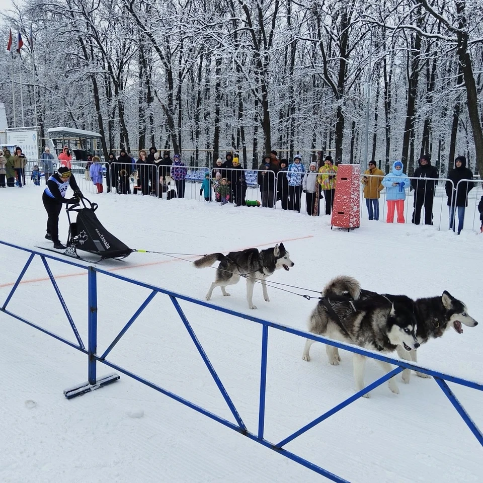 В регионе прошли массовые спортивные мероприятия. Фото: министерство спорта по региону