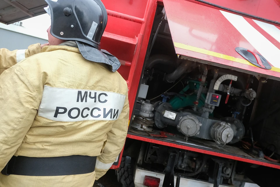 В службе 112 Подмосковья перечислили необычные случаи вызовов на Новый год