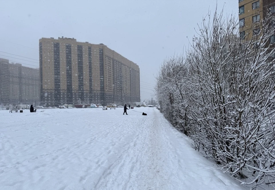 В Тюмени центральной улице присвоили имя десатника, погибшего в зоне СВО.