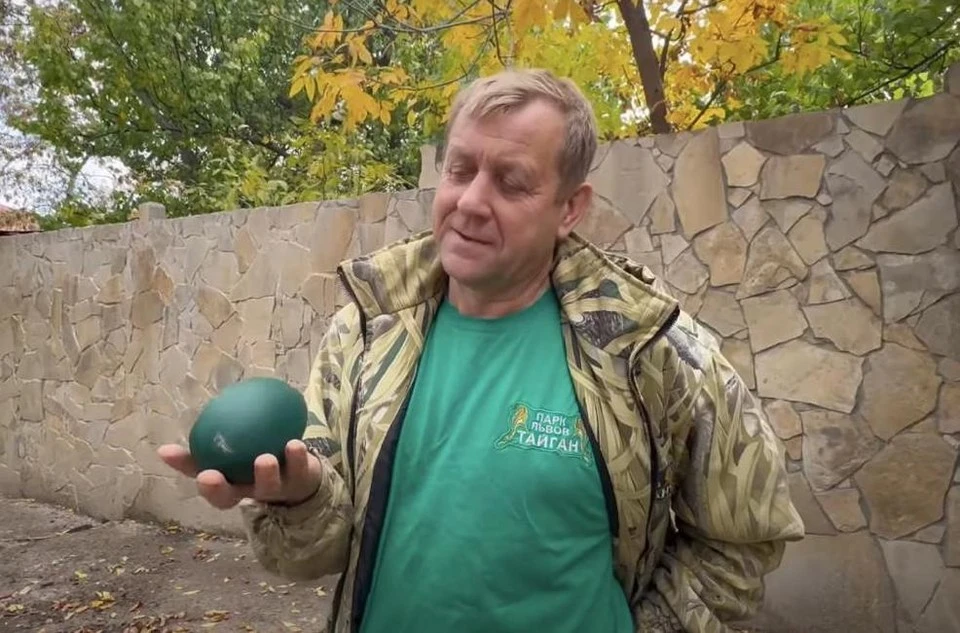 У эму очень красивые яйца. Фото: скриншот из видео Олега Зубкова